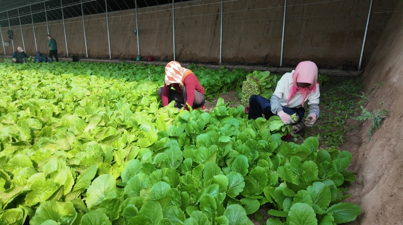 BBB821BCA754096DC354BC6B19BD00B3 (1).jpeg