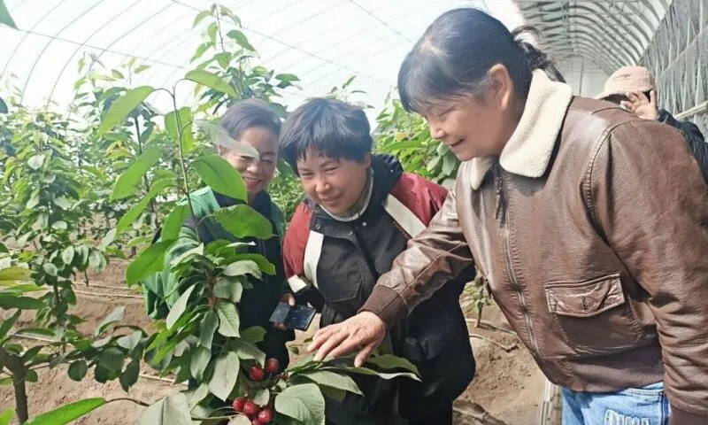 园艺镇园艺村奏响春耕“进行曲”